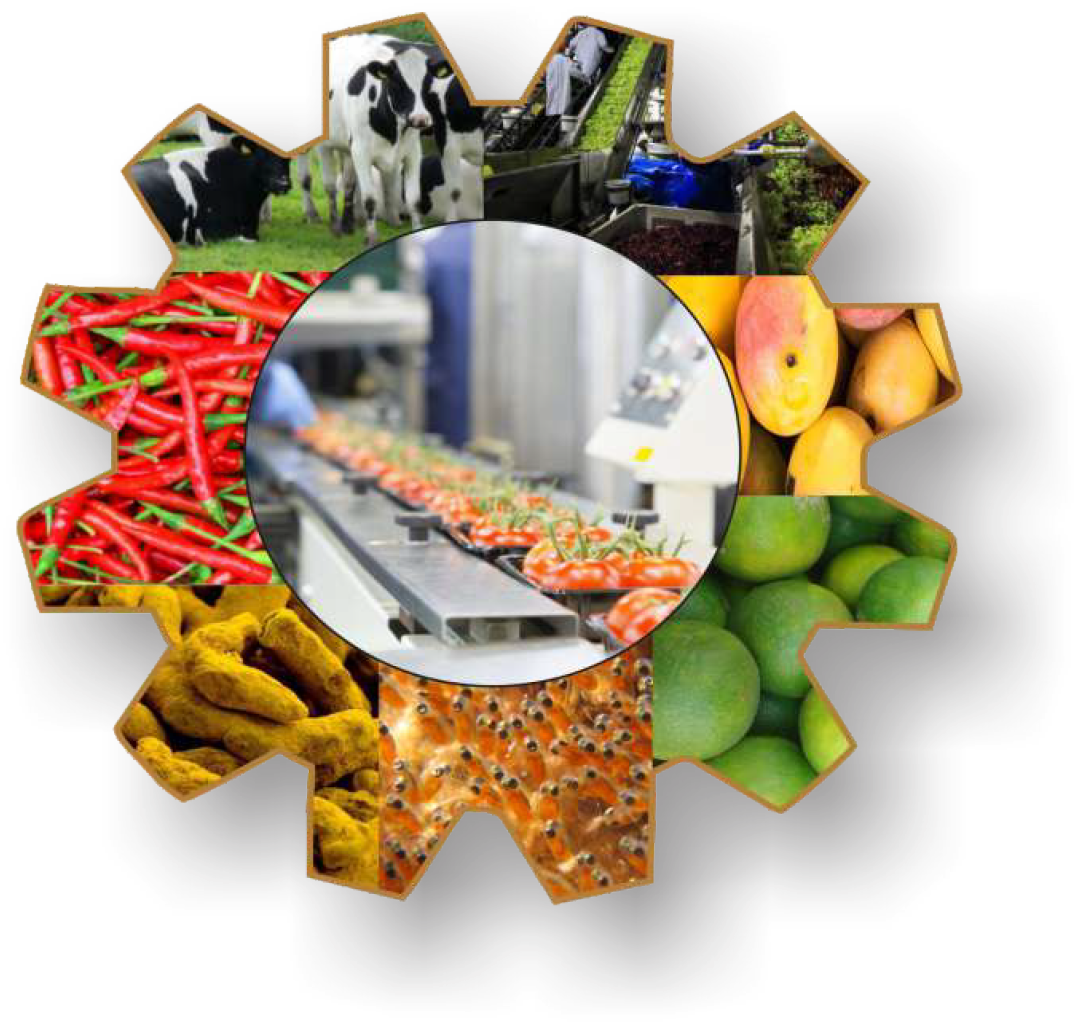 India's Most Comprehensive Food & Drink Processing Expo